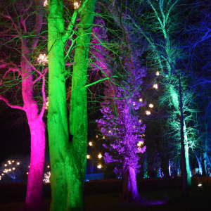 Secret Illuminated Gardens